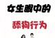 四女攻略（揭秘恋爱日记四个女孩的真心故事）