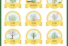 探秘蚂蚁森林（蚂蚁森林生态奇观与人类互动的探索之旅）