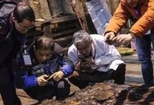 《探索古墓，征服传奇世界手游的攻略大全》（解密传奇世界手游中古墓的秘密，助你游刃有余）