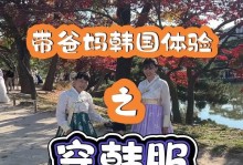 DNF韩服手游攻略（以最新版本更新为基准，教你轻松掌握游戏要点）