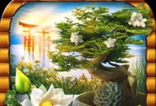 探索禅意花园游戏的奇妙世界（揭秘禅意花园游戏攻略，让你成为花园大师）