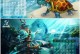 《问道手游最强龙宫加点攻略》（打造战力狂飙，玩转龙宫秘籍）