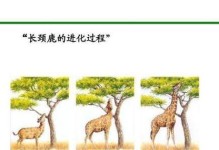 信任的进化（从相互依赖到长久合作，信任如何在人际关系中演化？）