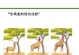 信任的进化（从相互依赖到长久合作，信任如何在人际关系中演化？）