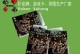 《探索鸭子王朝游戏攻略，征服宏伟世界》（揭秘鸭子王朝游戏攻略，打造超级势力）