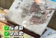 攻略天下（探索最佳游戏选择，玩转娱乐世界）
