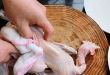 大厨猫咪出装攻略（掌握大厨猫咪的出装技巧，成为厨房中的绝对主厨）